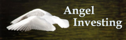 Angel Investing