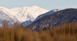 Vancouver Green Technology Investing