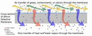 Diagram of dPoint Polymer Membrane cross-section