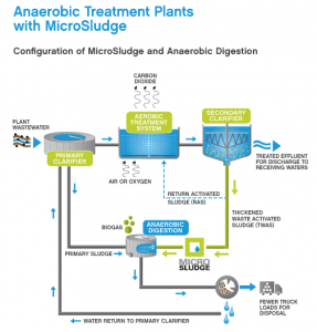 Diagram of MicroSludge in Digester